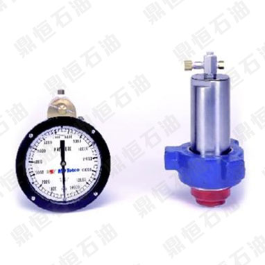 �R������ʽ���������� ����(gu��)�M(j��n)��